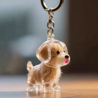 Rudy 2